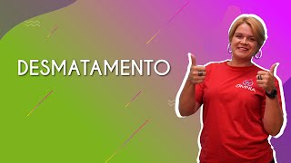 "Desmatamento" escrito sobre fundo colorido ao lado da imagem da professora